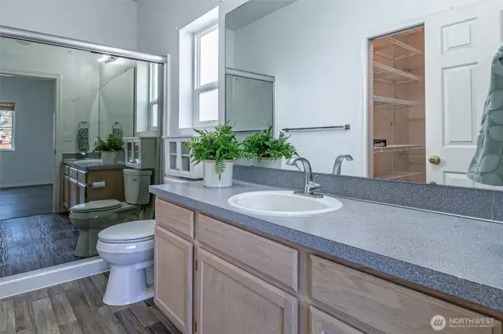 Master bath with walk in large shower space.  Countertop is spacious.