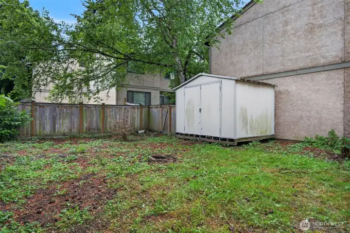 HUGE backyard. HUGE backyard.