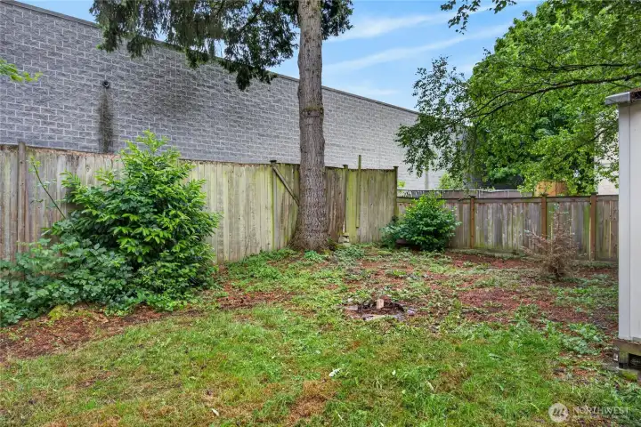 HUGE backyard. HUGE backyard.