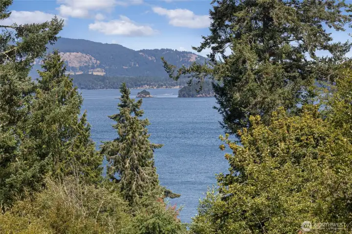 Framed by old-growth conifers, a stunning blue-water channel view captures passing ferries with Orcas, Shaw and Yellow Islands rising in the distance, offering the quintessential San Juan Islands panorama. This breathtaking vantage point illustrates the remarkable marine scenery enjoyed from the property's elevated ridgeline position. Framed by old-growth conifers, a stunning blue-water channel view captures passing ferries with Orcas, Shaw and Yellow Islands rising in the distance, offering the quintessential San Juan Islands panorama. This breathtaking vantage point illustrates the remarkable marine scenery enjoyed from the property's elevated ridgeline position.