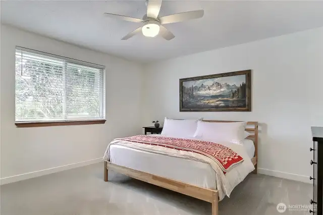 Spacious and serene, the primary bedroom offers a peaceful atmosphere with soft new carpet, fresh paint, and a modern ceiling fan. A large window frames a view of the trees, creating a calming space to unwind at the end of the day.