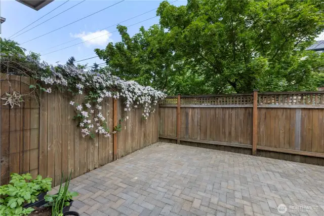 Fully Fenced