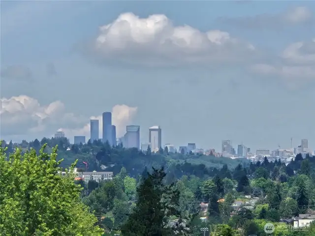 City skyline from the rooftop deck