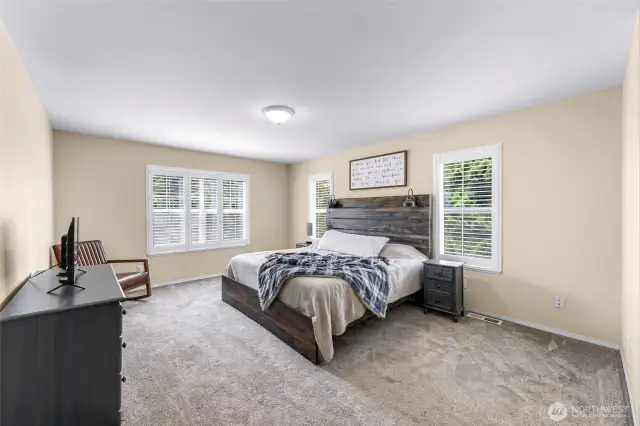 Upper Level Primary Bedroom w/walk in closet and ensuite bath