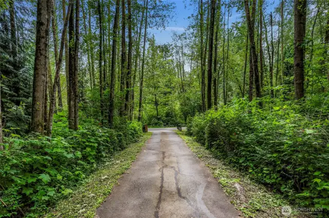 Private Tree Lined Gated Driveway