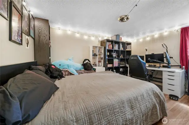 Lower level bedroom.