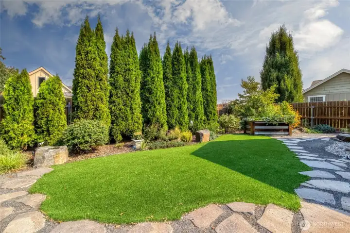Low Maintenance Turf