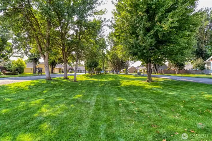 Community Green Space