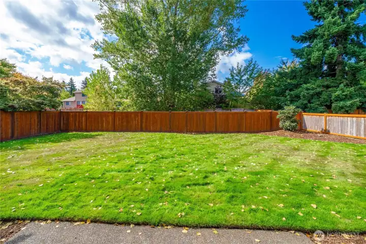Spacious, leveled lot and fully fenced!