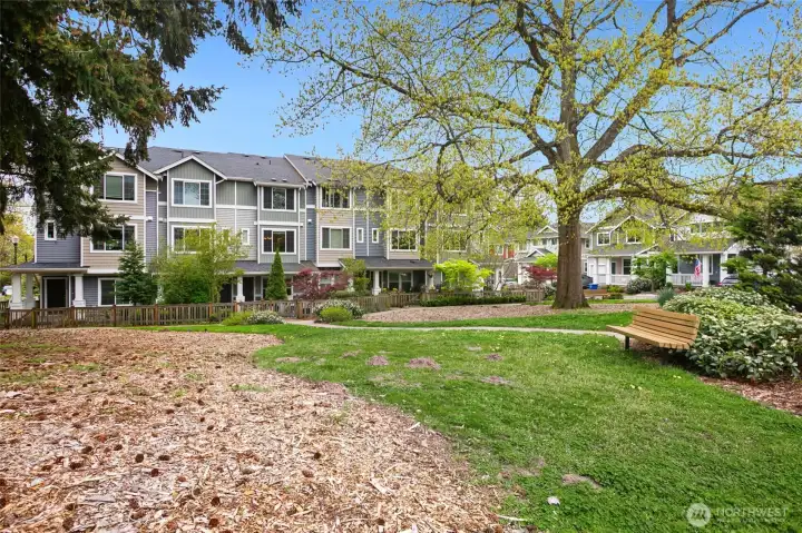 Neighborhood green space with mature trees and gathering areas, part of High Point’s thoughtfully designed network of parks and open space.