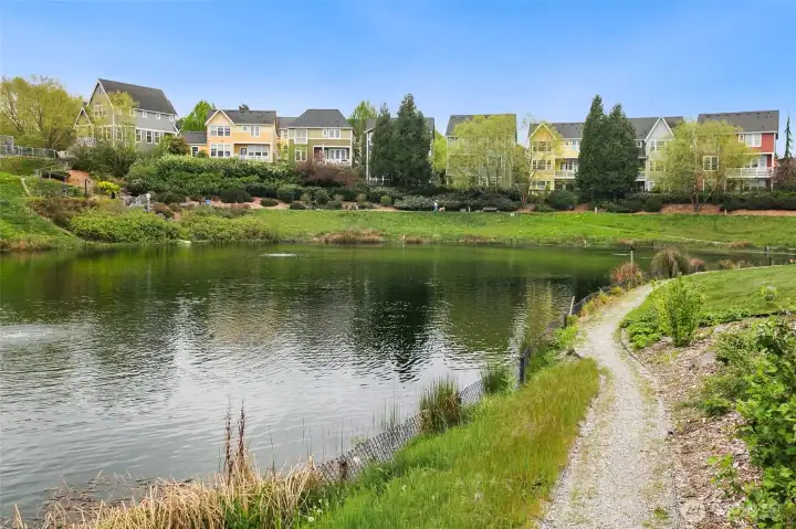A peaceful community pond with walking trails and open space designed for everyday connection to the outdoors.