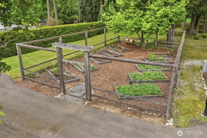 Fully Fenced Garden Beds With Irrigation