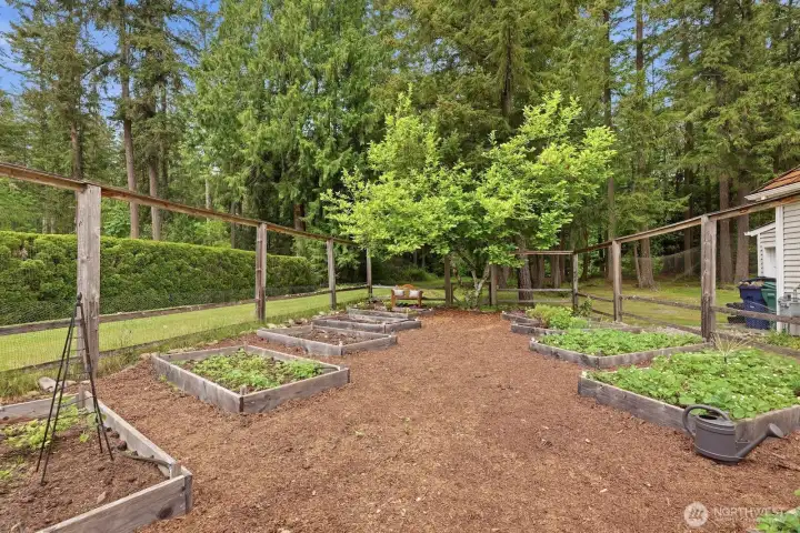 Blueberries, Strawberries, herbs, Lettuce, Squash - the possibilities are endless!