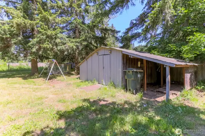 Backyard Shed