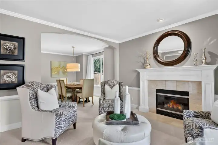 Elegant Living Room