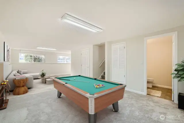 Lower Level Family Room Virtually Staged