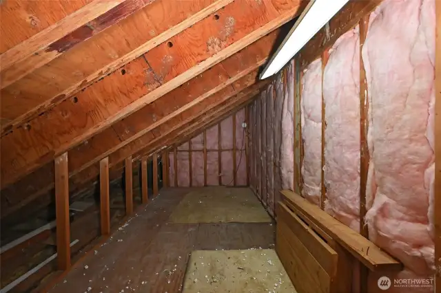 Insulated attic storage