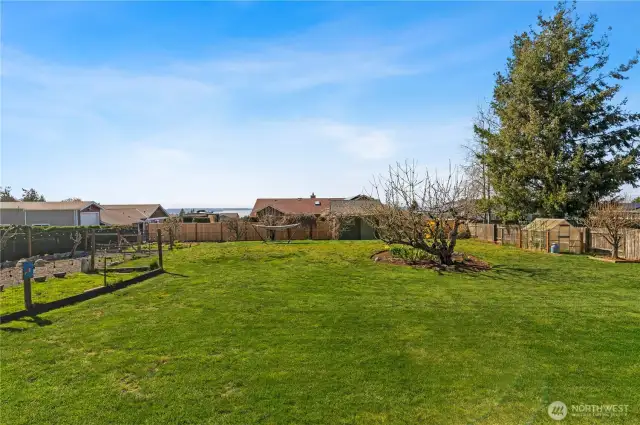 Nearly a half acre with fruit trees and a greenhouse