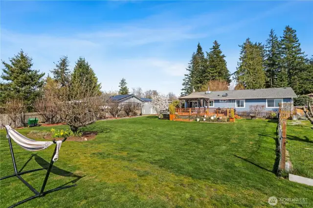 This yard is built for fun!