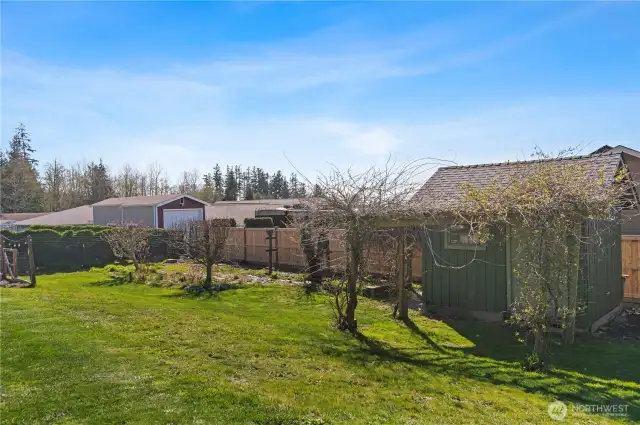 Fruit trees and a garden tool shed