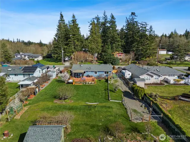 Back view from above