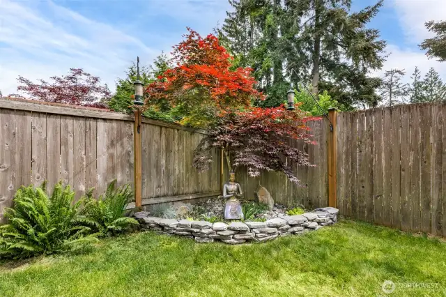 Garden in the backyard