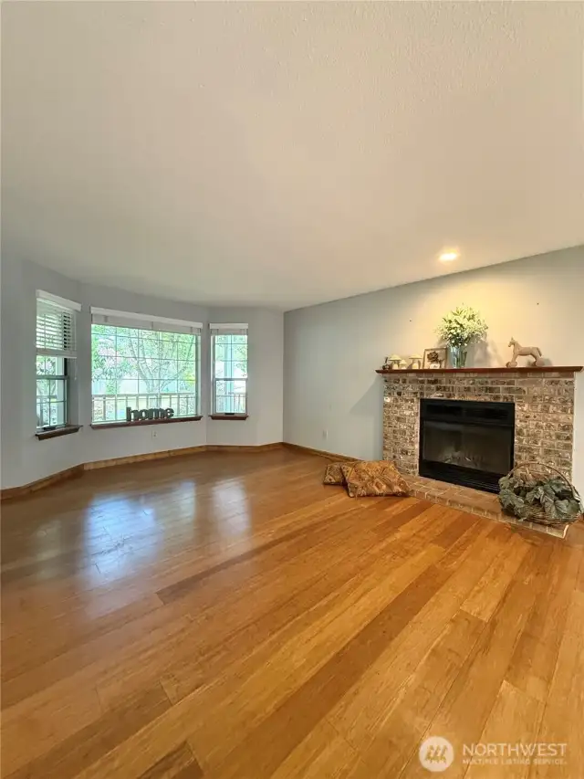Front windows frame