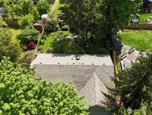 So much privacy with these mature trees and landscaping!