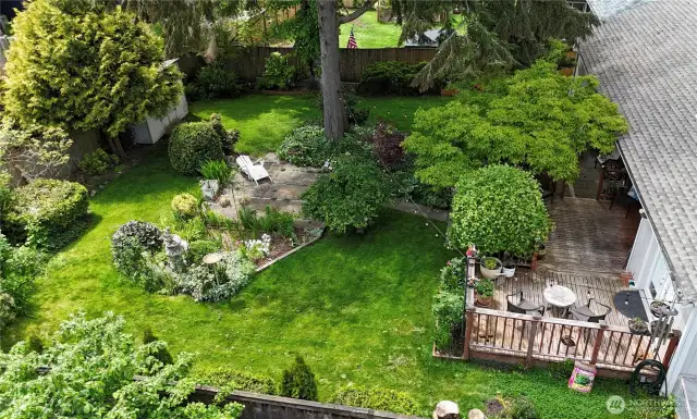 Look at this gorgeous, private back yard!!