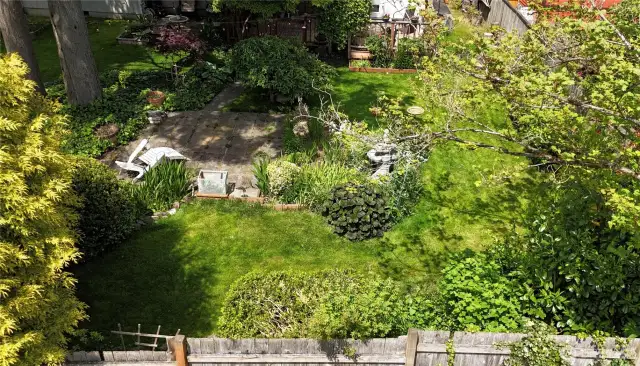 Back yard!