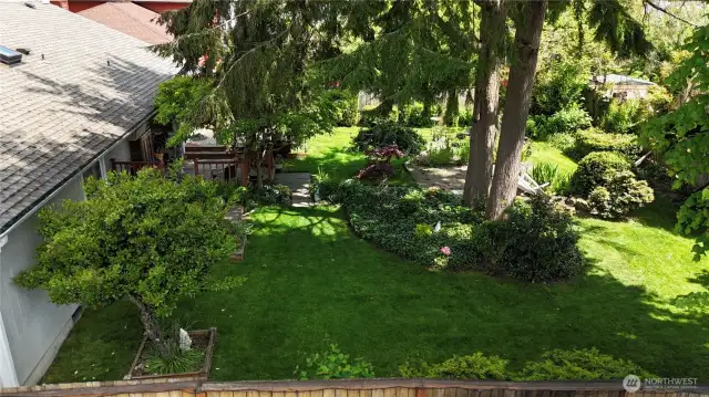 Back yard!