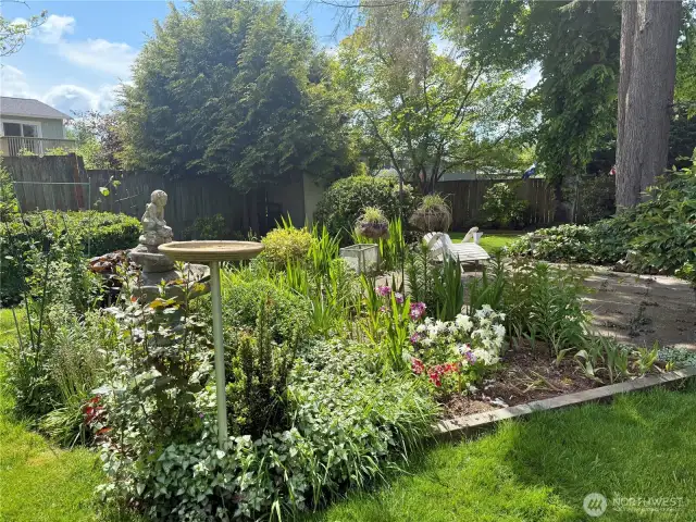 Beautiful back garden with fountain and bird bath
