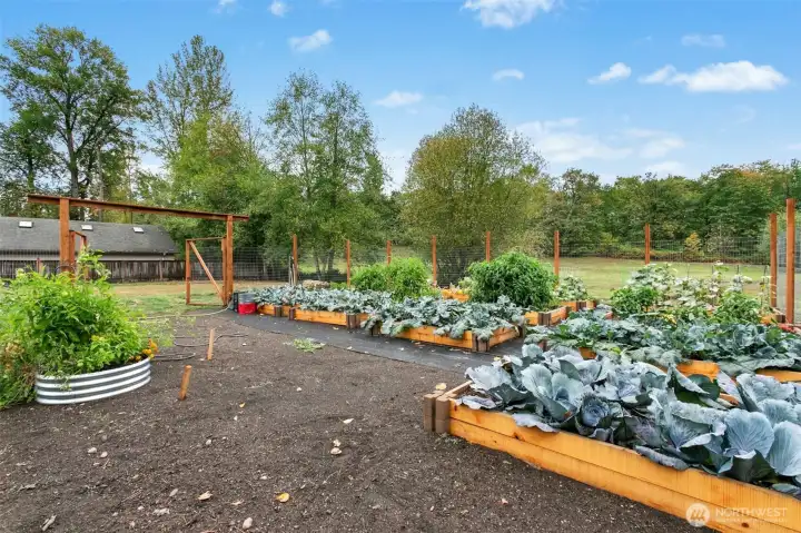 Garden!