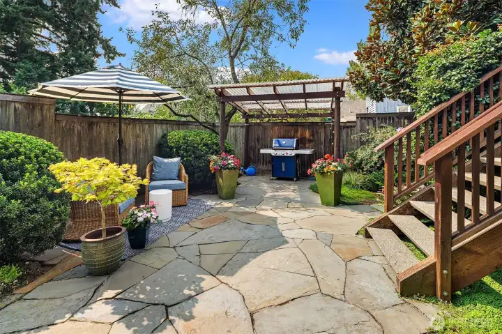 Back Patio