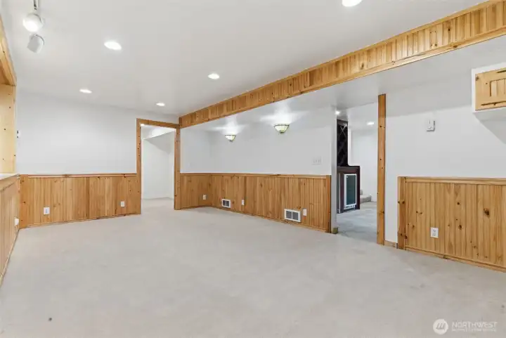 Basement living room