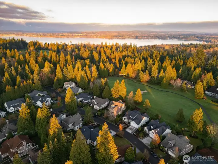 This Transitional Modern style home allows the home to stand confidently within Semiahmoo's upscale community with thoughtfully planned elevations that give this home the type of architectural presence that exalts Stonehaven to a new degree.
