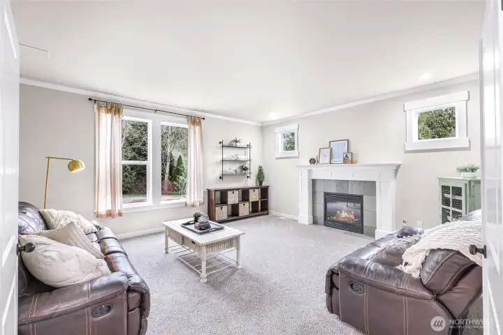 Family room downstairs with gas fireplace