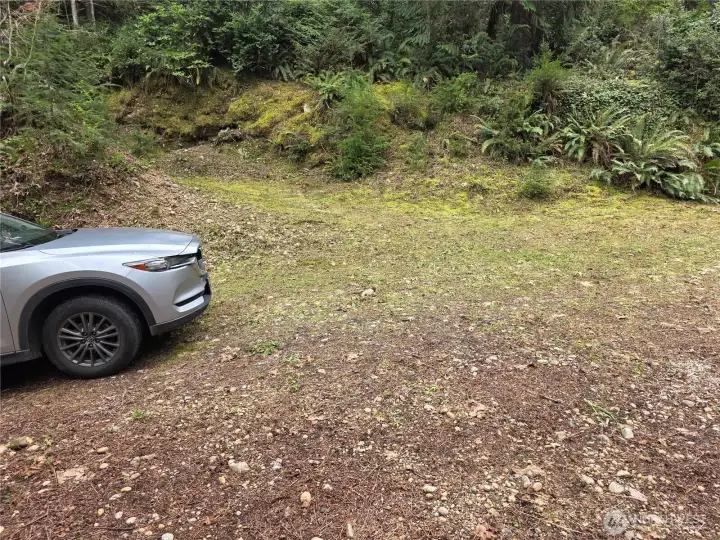 This building site is accessed by a circular driveway