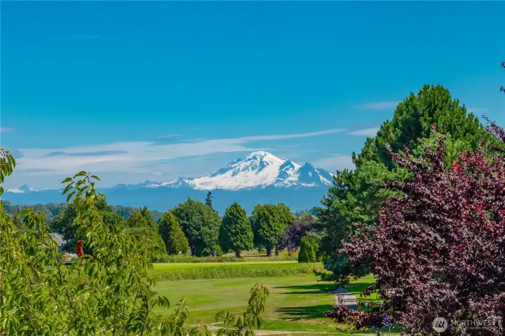 Mt Baker view