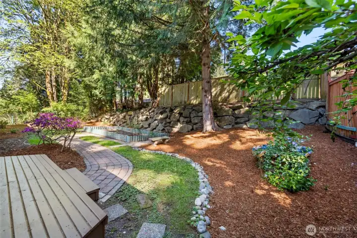 Backyard for your gardening