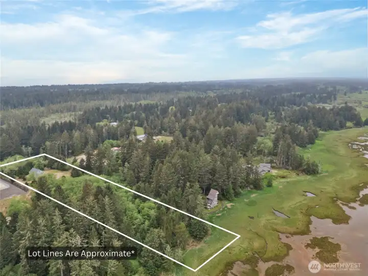 Over 4 private acres with oath and tide-land rights on the Willapa Bay.