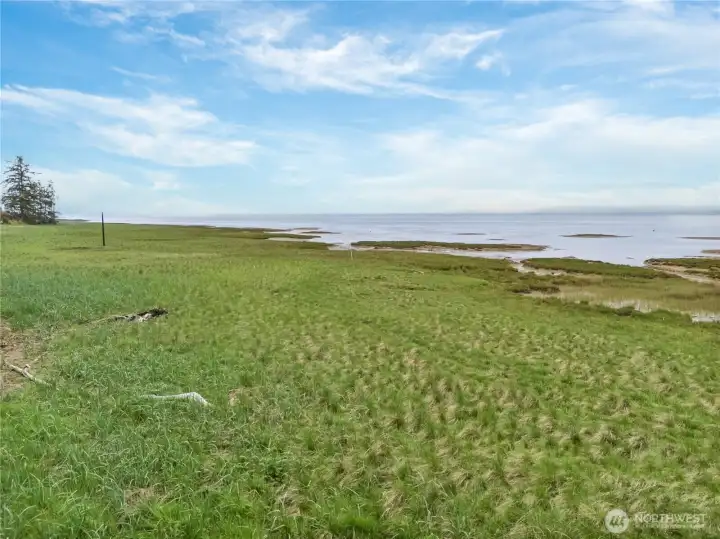 Over 4 private acres with oath and tide-land rights on the Willapa Bay.