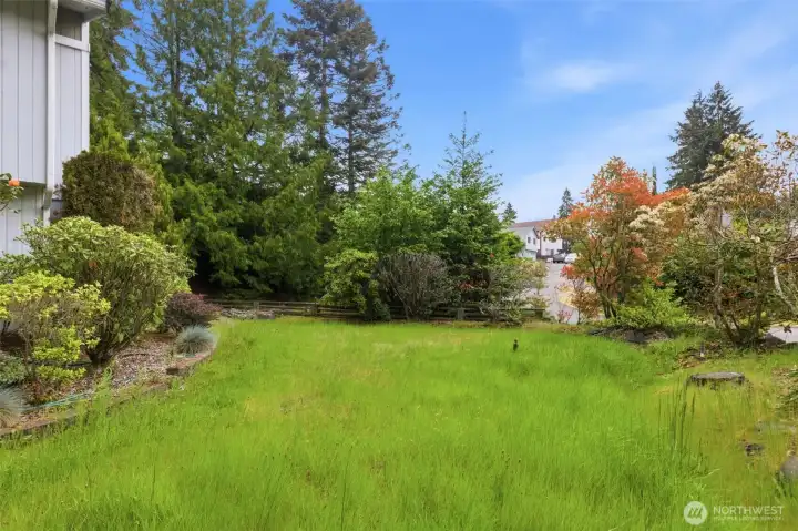 Over 11,000 sq ft corner lot Over 11,000 sq ft corner lot