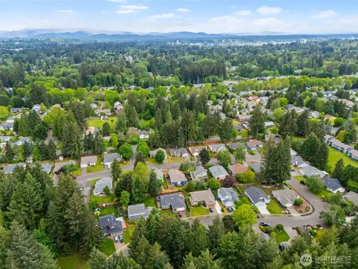 Neighborhood aerial view. Neighborhood aerial view.