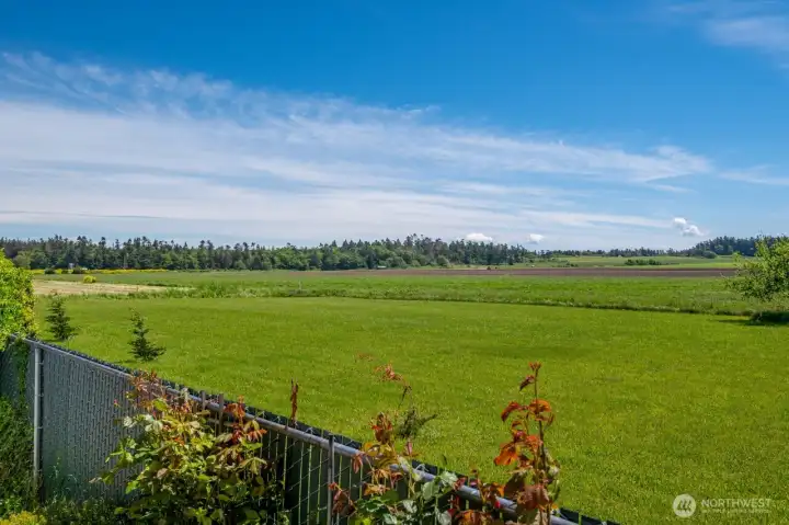 Prairie views