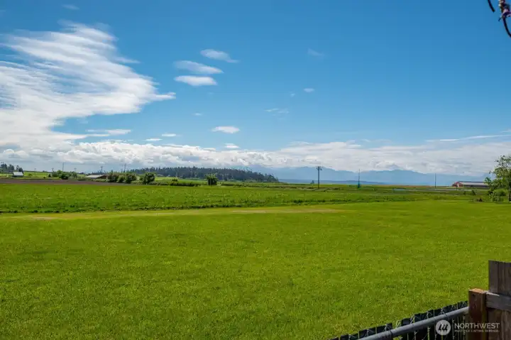 Olympic mountains and saltwater views