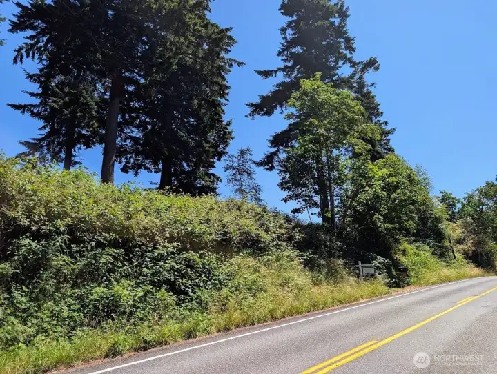 Looking south on S-Camano Dr