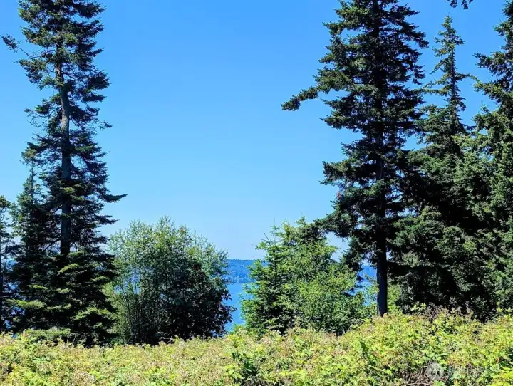 ground level of lot
