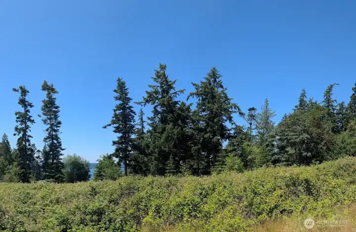 upper ground level .65 acre lot