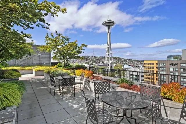 The roof deck at Mosler Lofts is stunning with it's gardens and 360 degree views.